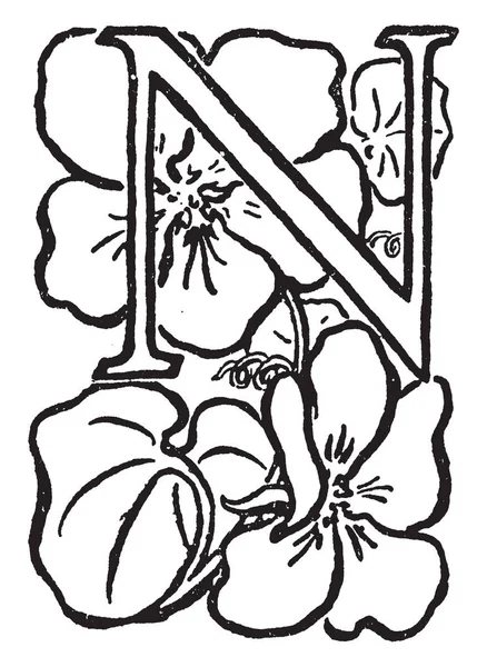 Велика Літера Квітами Вінтажним Малюнком Або Гравюрною Ілюстрацією — стоковий вектор