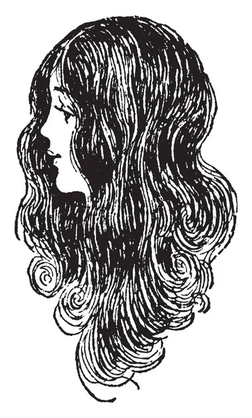 此插图表示女性的长发 复古线条画或雕刻插图 — 图库矢量图片