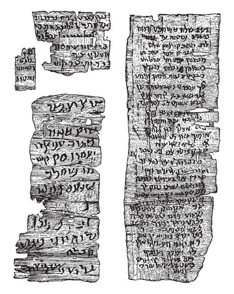 古希伯来手稿是在埃及发现的 复古线条画或雕刻插图 — 图库矢量图片