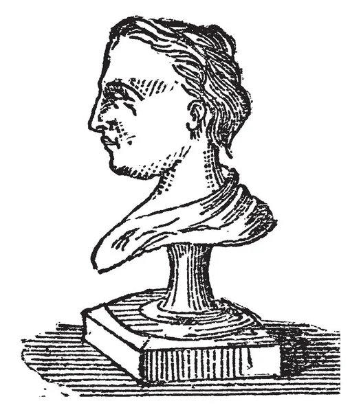Buste Est Morceau Statuaire Représentant Tête Les Épaules Poitrine Dessin — Image vectorielle