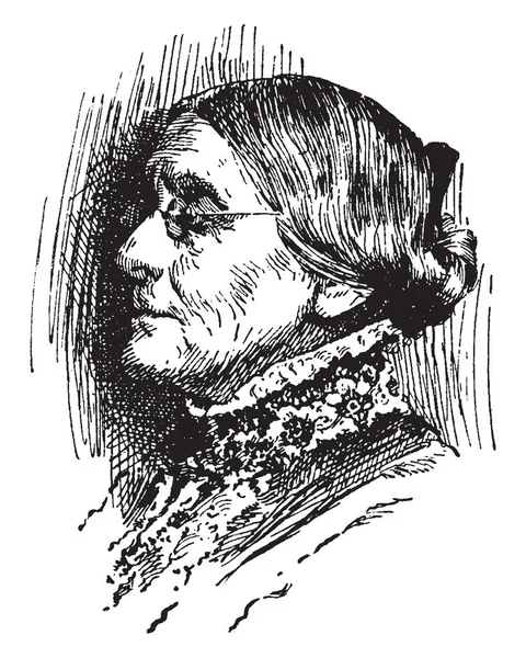 Susan Anthony 1820 1906 Stata Una Riformatrice Sociale Americana Che — Vettoriale Stock