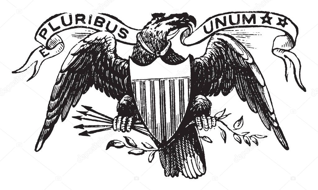 To authenticate certain documents, which are issued by U.S. federal government, the Great Seal of the United States is used, vintage line drawing or engraving illustration.