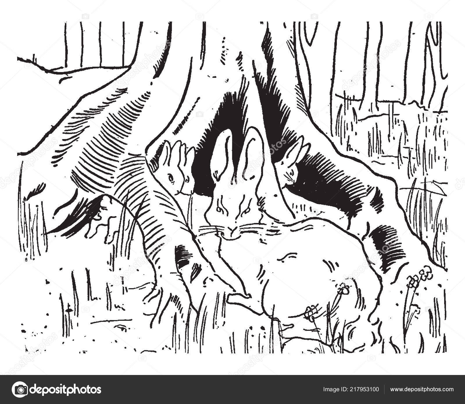 Bunny Ashamed His Parents Scene Shows One Rabbit Anger Three Stock ...