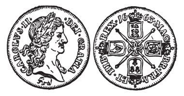 Onlar çoğunlukla altın Gine, vintage çizgi çizme veya oyma illüstrasyon aldığınız vurdu çünkü Charles II Gine Gine denir.