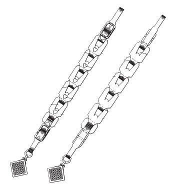 İsteğe bağlı iki görünümü tasarım, Watch zincir, en son zinciri dünyanın en büyük moda sitesi, vintage çizgi çizme veya oyma illüstrasyon saatler bir kişi tarafından giyilen kişisel süsleme öğesi.