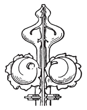 Finial genellikle oyulmuş, süs, yeşillik, pinnacles, gables, kuleler, Gotik mimarisi, vintage çizgi çizme veya oyma illüstrasyon kısımlarını sona erdirilmesi benzer olduğunu.