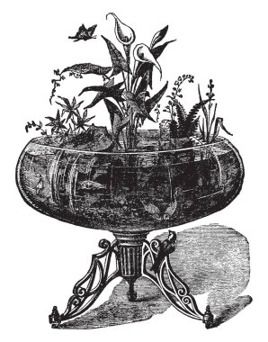 Akvaryum, vintage çizgi çizme veya oyma illüstrasyon olabilir en iyi süsler biridir.