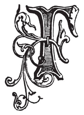 Dekoratif ve çiçek büyük harf F, vintage çizgi çizme veya oyma illüstrasyon