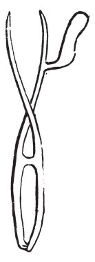 Bu Tilletia görüntüsünü ve kurum mantarlar Tilletiaceae Aile, vintage çizgi çizme veya oyma illüstrasyon cinsidir.