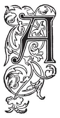 Üzüm ve yaprakları, vintage çizgi çizme veya oyma illüstrasyon ile dekoratif bir büyük harf A