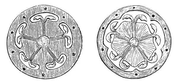 Изображение Показывающее Поперечные Сечения Ovary Форма Круглая Показывает Пять Карпелей — стоковый вектор