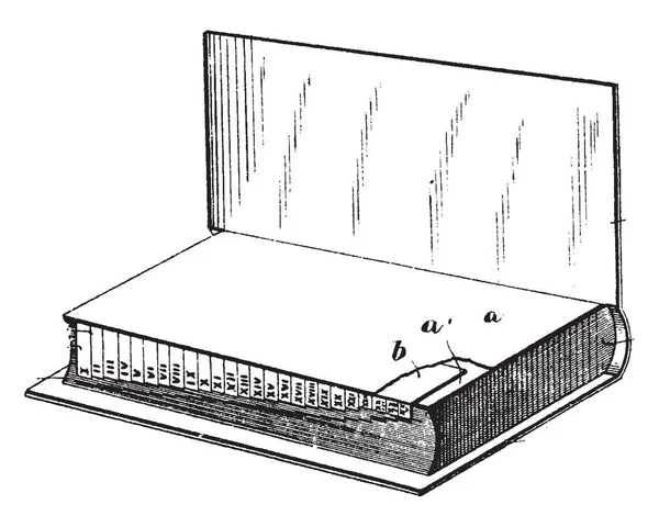 Index Apparaat Voor Boeken Lijst Van Woorden Zinnen Bijbehorende Punten — Stockvector