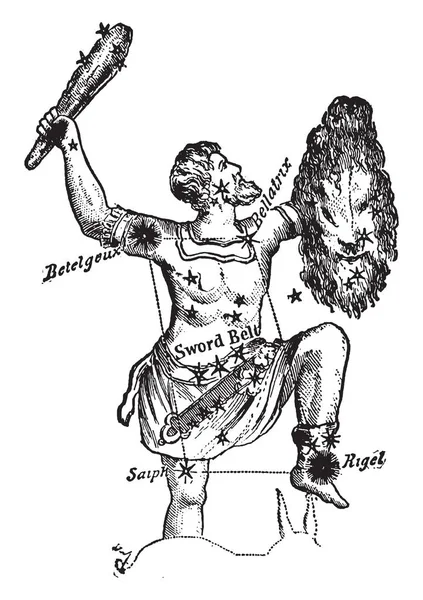 Immagine Mostra Che Tratta Una Costellazione Conosciuta Come Orione Cacciatore — Vettoriale Stock