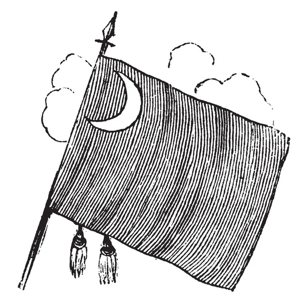 Vlajka Jižní Karolíně Lossing 1851 Tento Příznak Half Moon Levé — Stockový vektor
