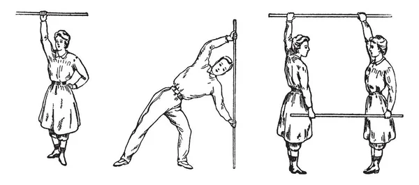 Wygląda Związane Gimnastyki Ten Kij Jest Używany Dla Niejasnych Starodawne — Wektor stockowy
