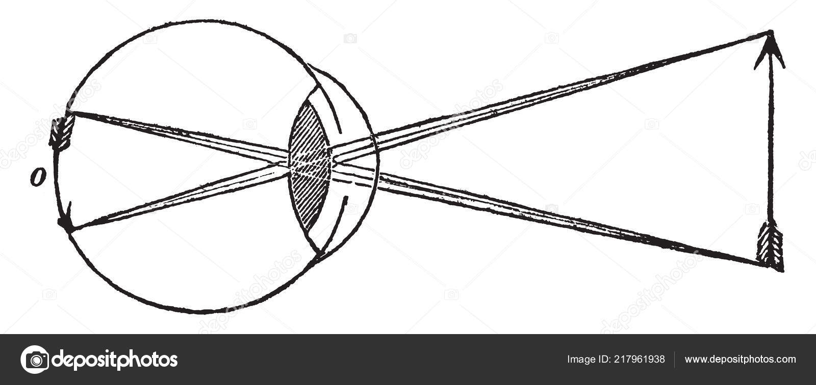 Baixar Vetor De Ilustração De Tira De Filme Vintage, image size:1600x756