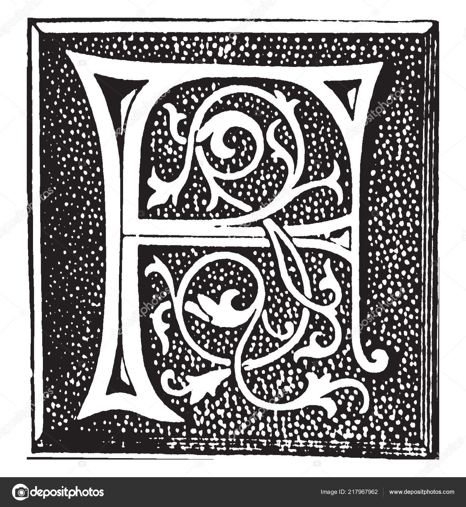 Ornamental Decorative Capital Letter Vintage Line Drawing Engraving