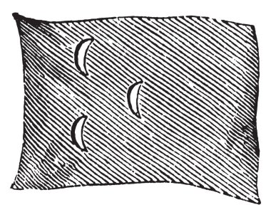 Fas, 1881, bu bayrak bayrak bayrak ve üçgen şekli, vintage çizgi çizme veya oyma illüstrasyon düzenlenmiş üç dikey hilal tüm çapraz çizgiler vardır 