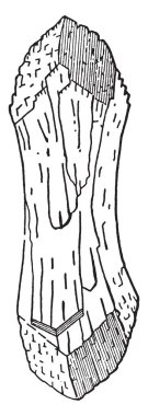 Bu diyagram Stilbite, vintage çizgi çizme veya oyma illüstrasyon temsil eder..