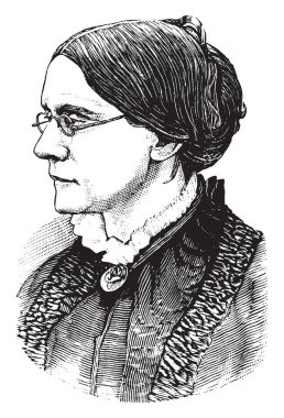 Susan B. Anthony, 1820-1906, o güvenli kadınlar 's seçme ve seçilme hakkı Amerika Birleşik Devletleri'nde, vintage çizgi çizme veya oyma illüstrasyon için çalışan bir Amerikan sosyal reformcu yapıldı.