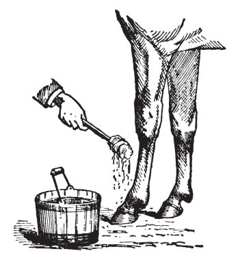 Bu resimde at ayak temsil eden nem at ayak, vintage çizgi çizme veya oyma illüstrasyon kornet uygulama nerede.