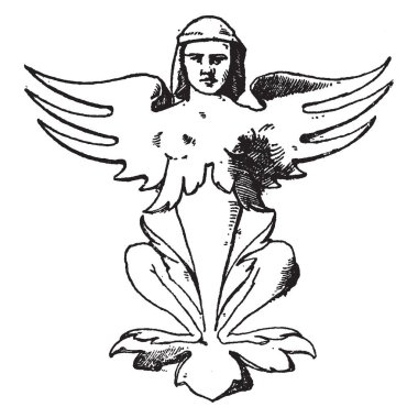 Kanatlı grotesk tıklatarak duvar ayağı silahsız çömelme kanatlı bir kadındır, bu Louis XII Türbesi St. Denis Kilisesi, vintage çizgi çizme veya oyma illüstrasyon bulunur.