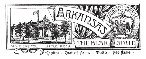 Estandarte Estatal Arkansas Estado Oso Este Estandarte Tiene Una Casa — Archivo Imágenes Vectoriales