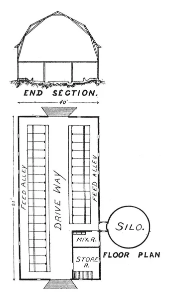 Grange Laitière Rangée Vaches Holstein Couchées Planification Conception Fermes Laitières — Image vectorielle