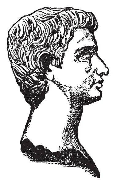 Marcus Junius Brutus 85Bc 42Bc Était Politicien République Romaine Dessin — Image vectorielle