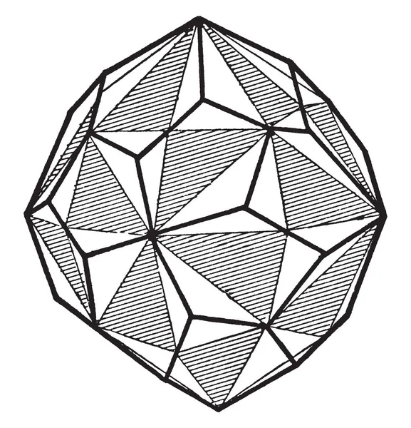 다이어그램 오른쪽 손으로 오각형 Icositetrahedron 빈티지 드로잉 그림을 나타냅니다 — 스톡 벡터