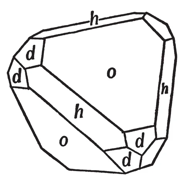 Dieses Diagramm Stellt Tetraeder Würfel Und Dodekaeder Kombination Vintage Linienzeichnung — Stockvektor