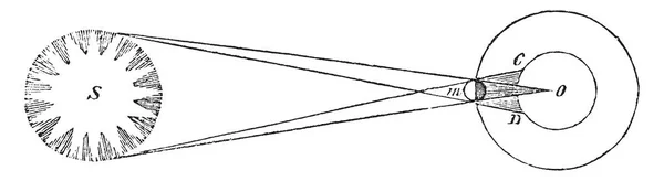 ウンブラは 月に落ちる光の遮断によって作成される最も暗い影であり 人が暗い影の前に立つとき 彼は月の周りに明るいリングを形成する太陽の外縁 ヴィンテージ線の描画や彫刻病気を見ることができるでしょう — ストックベクタ