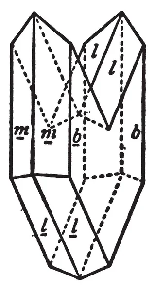 この図は 双晶結晶の石膏 ビンテージの線描画や彫刻イラストを表します — ストックベクタ