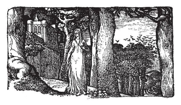 Lady Rooks Гравюра Деревянном Блоке Рисунок Винтажной Линии Гравюра — стоковый вектор