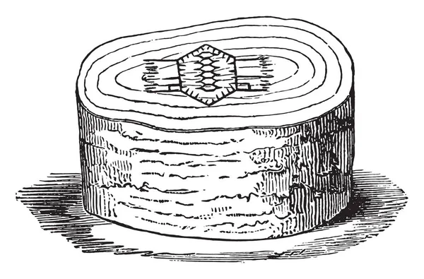燃やされた ヴィンテージの刻まれた図をする準備ができてのデザインと木のブロック 産業百科事典 1875 — ストックベクタ