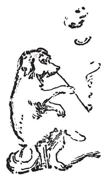 Pes Sedí Malý Stolek Kouření Vintage Kreslení Čar Nebo Gravírování — Stockový vektor