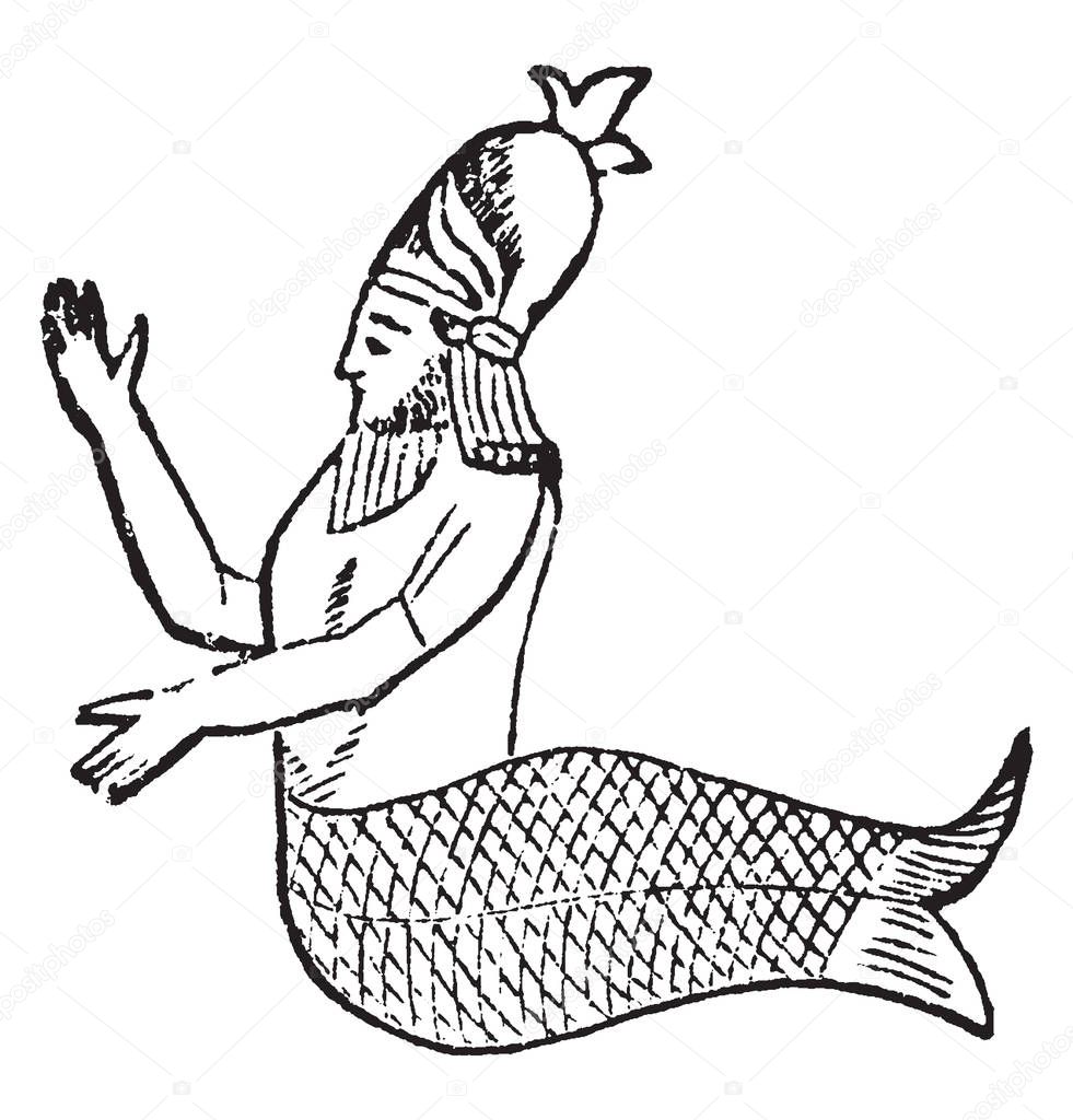 An image of a man with a half body like a man and half body like fish known as Mermaid, vintage line drawing or engraving illustration.