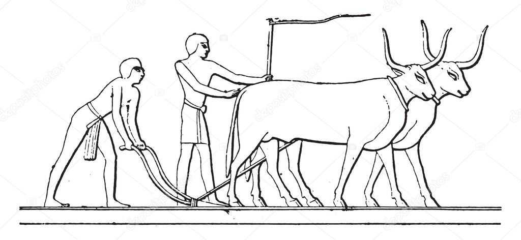 Egyptian Plough, vintage engraved illustration