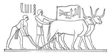 Memphis ve mezarlar için alçak kabartma, vintage illüstrasyon kazınmış. Endüstriyel ansiklopedi E.-O. Lami - 1875
