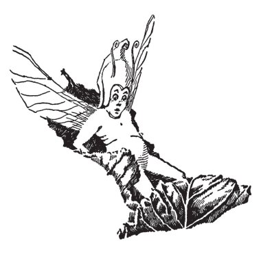 Hava, vintage çizgi çizme veya oyma illüstrasyon yüzer iken bir yaprak üzerinde oturan bir elf