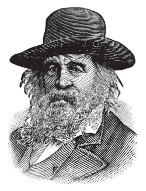 Walt Whitman, ABD'li şair, denemeci ve gazeteci, vintage çizgi çizme veya oyma illüstrasyon onun 1819-1892, olduğunu