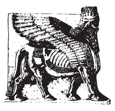 Asur heykel Khorsabad, vintage çizgi çizme veya oyma illüstrasyon Asur kanatlı saçmalık.