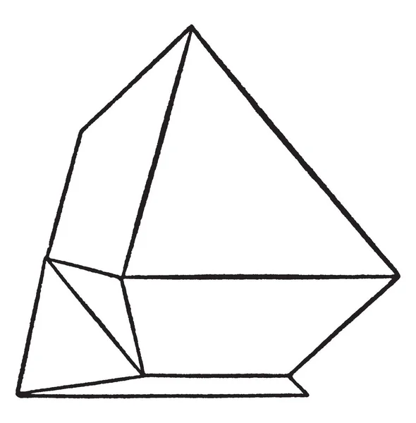 Dieses Diagramm Repräsentiert Spinelkontakt Zwilling Vintage Linienzeichnung Oder Gravierillustration — Stockvektor