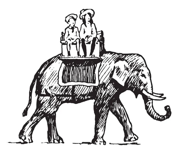 Deze Afbeelding Vertegenwoordigt Meisjes Rijden Een Olifant Vintage Lijntekening Gravure — Stockvector