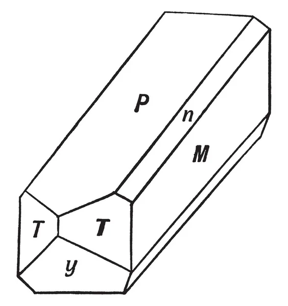 Este Diagrama Representa Alongamento Direção Eixo Clinodiagonal Desenho Linha Vintage — Vetor de Stock