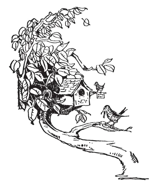Resimde Kuş Yuvası Ağaç Uzuv Vintage Çizgi Çizme Veya Oyma — Stok Vektör