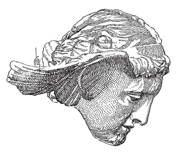 A statue of Hypnos head, the Greek god or personified spirit (daimon) of sleep, vintage line drawing or engraving illustration.