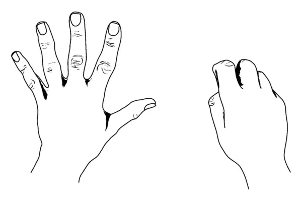 European Style Counting Hands Représentant Style Européen Dessin Ligne Vintage — Image vectorielle