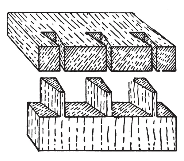 Questa Illustrazione Rappresenta Giunti Coda Rondine Che Viene Utilizzato Struttura — Vettoriale Stock