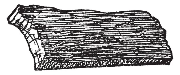 木の皮と呼ばれる皮の外のカバー ビンテージの線の描画や彫刻の図を作るため 樹皮を使用している車 — ストックベクタ